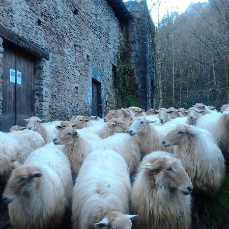 Casa Rural Orortegi Aia Luaran gambar