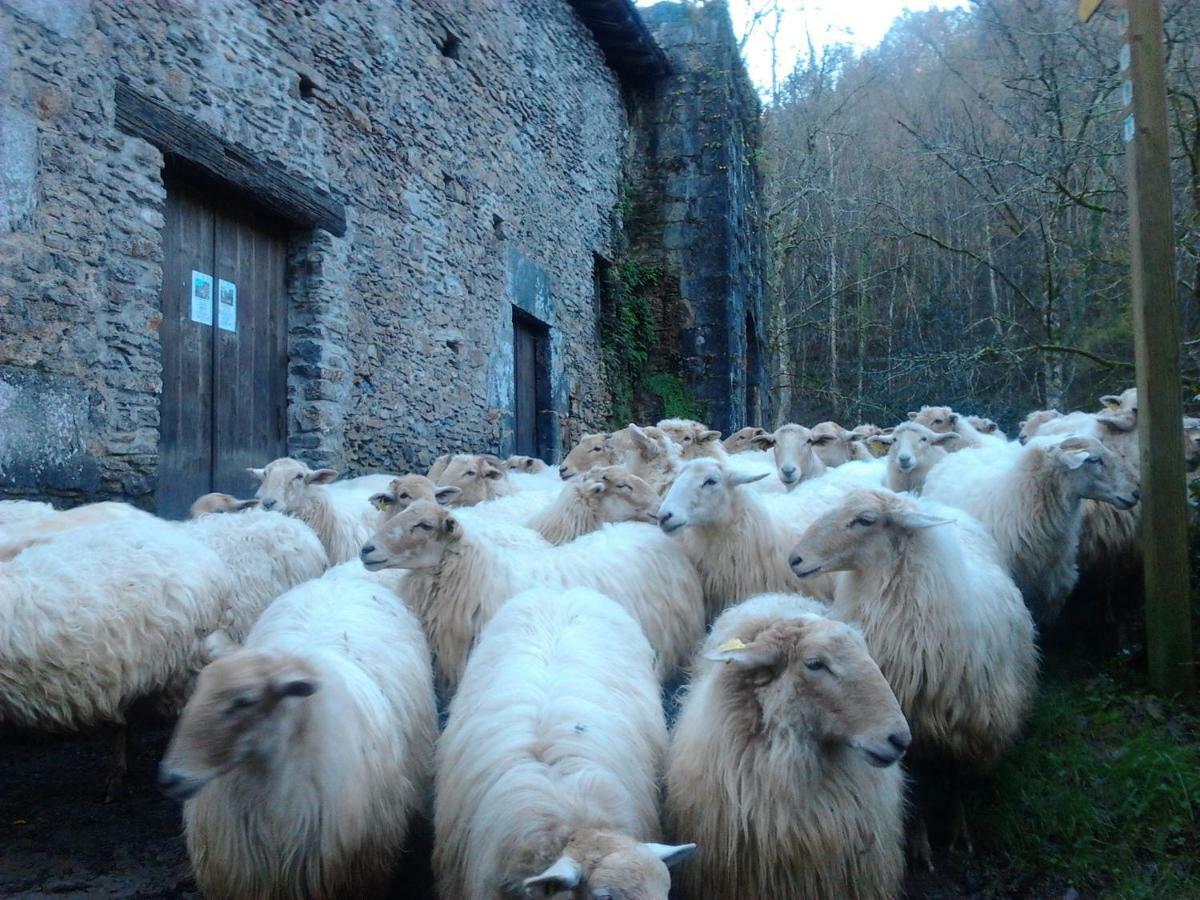 Casa Rural Orortegi Aia Luaran gambar
