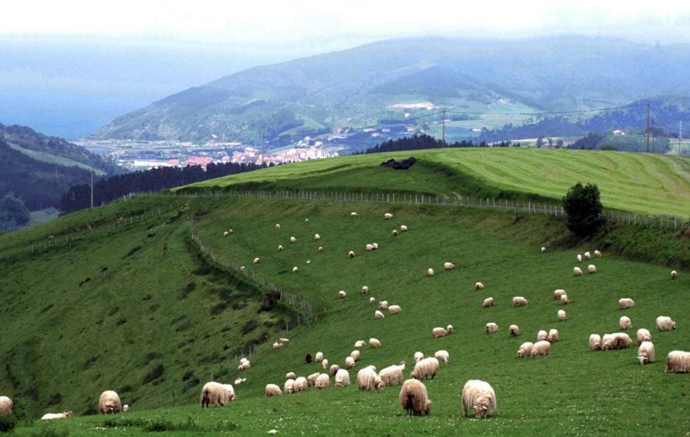 Casa Rural Orortegi Aia Luaran gambar